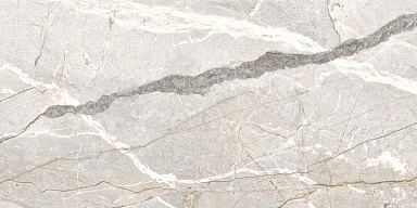 Керамогранит Flaviker PF60017241 Supreme Hedonism Silver Roots Lux 3D R 60x120