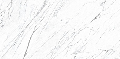 Керамогранит Roca FPK00MQ011 LM STATUARIO MC 100X200