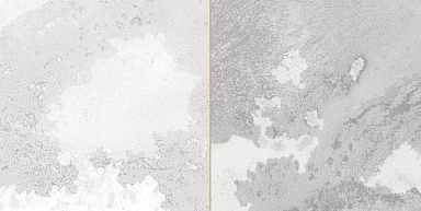 Плитка Peronda 30962 FS Tradition Square Silver 20x40