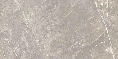 Керамогранит Cerim 766630 Elemental Grey Dolomia Luc Ret 30x60