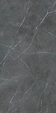 Керамогранит ABK PF60006322 Stone Grey Nat Ret 60x120