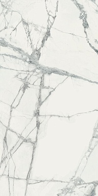 Керамогранит Italon 610015000496 Charme Deluxe Инвизибл Уайт Пат Рет 60x120