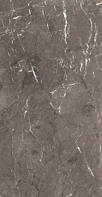 Керамогранит Rex Ceramiche 774851 Heritage Brown Glossy 6mm 60x120