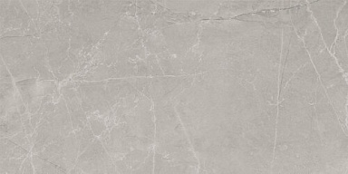 Керамогранит Baldocer Bayona Silver Natural 60x120