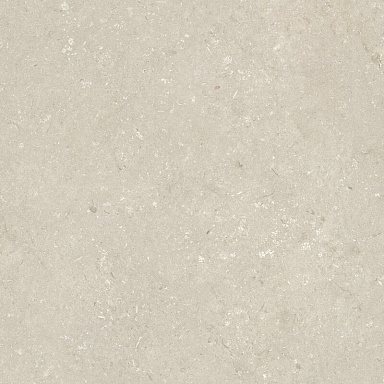 Керамогранит Dado Ceramica 005848 Shellstone Beige 120x120