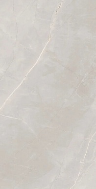 Керамогранит Artcer Marble Royalish Grey 120x60