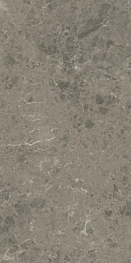 Керамогранит Atlas Concorde Italy AJJI Marvel Meraviglia Grigio Elegante Lapp. 30x60