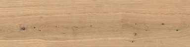Керамогранит Atlas Concorde Italy AX4A Log Icon Oak Forest Outdoor 20mm 30x120