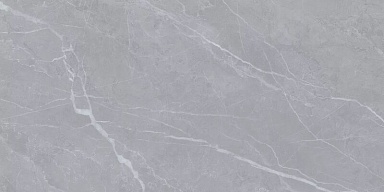 Керамогранит Art Ceramic Clovia Gris Glossy 60x120