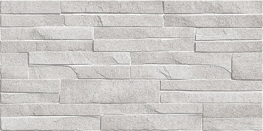 Плитка Alma Ceramica TWU2550DCV14 Discover рельефная 249x500x8