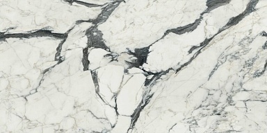 Керамогранит Rex Ceramiche 766330 Les Bijoux Calacatta altissimo Glossy Rett 60x120