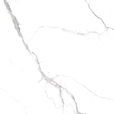 Керамогранит Arcadia Ceramica RT6015-A Statuario Fine Matt Rustic 60x60