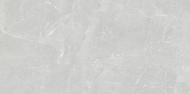 Керамогранит LB-Ceramics 6493-0140 Сумерки светло-серый 60x120