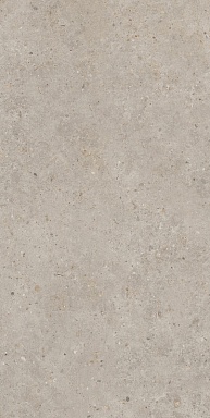 Керамогранит Kerama Marazzi SG540620R Риккарди бежевый матовый обрезной 60х119,5