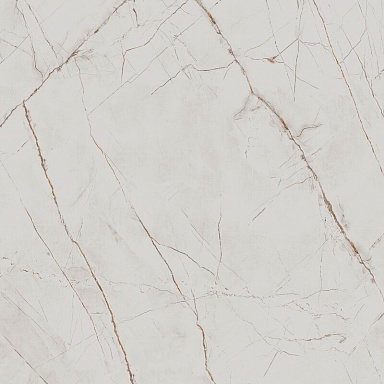 Керамогранит Arcadia Ceramica CR6018-A Valencia Silver Grey Carving 60x60