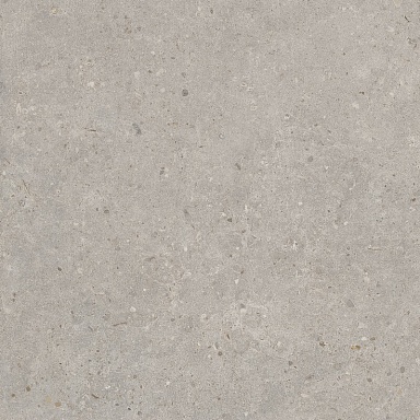 Керамогранит Kerama Marazzi SG653720R Риккарди серый светлый матовый обрезной 60x60