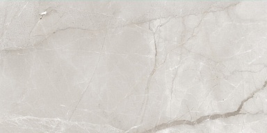 Керамогранит Best Ceramic KSW612DG008 Fish Maw Ash Digital Carving 60x120