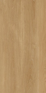 Керамогранит Protiles PT12F7041 Albero Beige Matt 1200х600х9