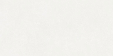 Керамогранит Neodom N110011 Aston White Matt 60x120