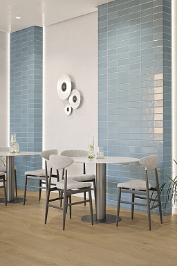 Плитка Porcelanosa 100305316 Granada Mint 25x44.3