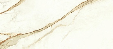 Плитка Atlas Concorde Italy A4TW Marvel Calacatta Imperiale Silk 50x120