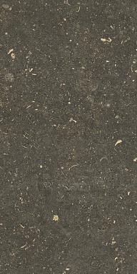 Керамогранит Casa Dolce Casa 785503 Rinascenza Arena Platino Grip 30x60