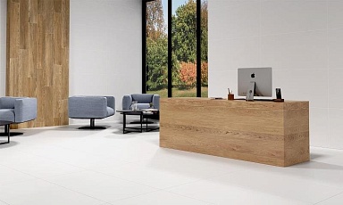 Керамогранит Ecoceramic ALASKA Mate 60x60