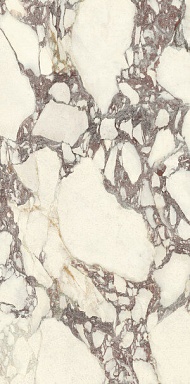 Керамогранит Ariostea PL612671 Calacatta Viola Luc 60x120