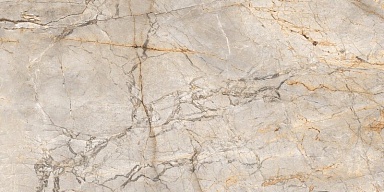 Керамогранит Neodom N80036 Silver Stream Carving 60x120
