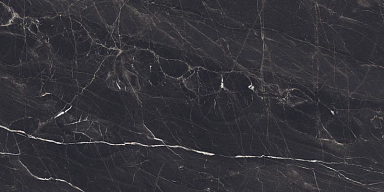 Керамогранит Colortile Evolic Nero Glossy 60x120