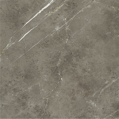 Керамогранит Italon 600010002388 Stellaris Tuscania Grey Nat Ret 120x120
