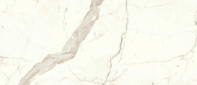 Плитка Atlas Concorde Italy A4TU Marvel Calacatta Prestigio Silk 50x120