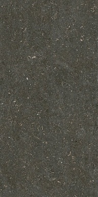 Керамогранит Casa Dolce Casa 785577 Rinascenza Arena Platino Matte 6mm 60x120