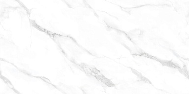 Керамогранит NT Ceramic NTT99506P Statuario Endless 60x120