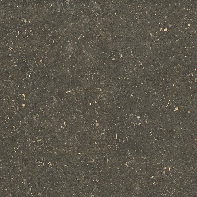 Керамогранит Casa Dolce Casa 785499 Rinascenza Arena Platino Grip 60x60