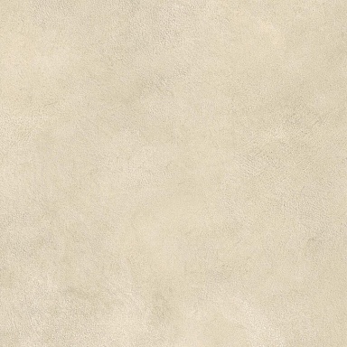 Керамогранит Atlas Concorde Italy AYVP Boost Expression Camel Matte 60x60