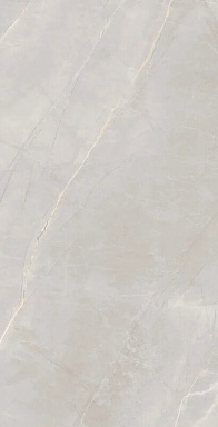 Керамогранит Artcer Marble Royalish Grey 120x60