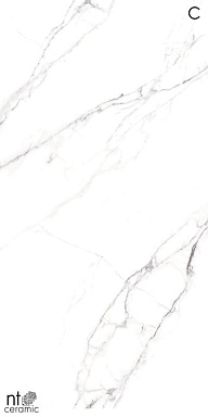 Керамогранит NT Ceramic NTT3506L Calacatta Light 120x270