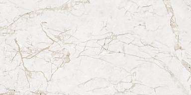 Керамогранит NT Ceramic NTT99519M Impero Grey Carving 60x120