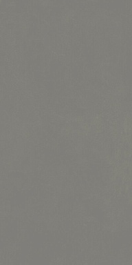 Керамогранит Italon 610010004157 Forum Slim Iron Ret 60x120