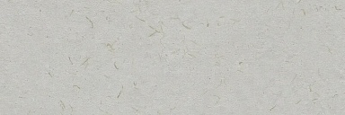 Плитка Ibero R0002309 Botanical Savia Rect. 30x90