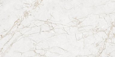 Керамогранит NT Ceramic NTT99519M Impero Grey Carving 60x120
