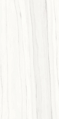 Керамогранит Ariostea PL612517 Zebrino Bianco Luc 120x60
