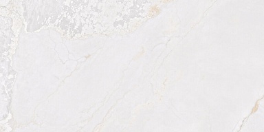 Керамогранит Fanal Planet White N Metal Shine 60x120