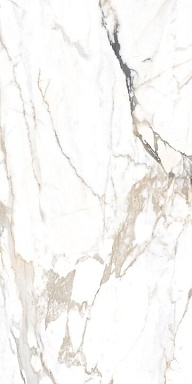 Керамогранит Alpas Euro Eco Marble 6582 Polished 60x120