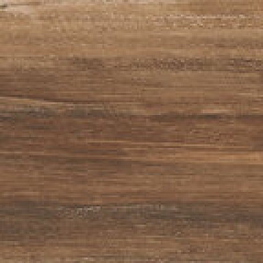 Terra Realistik