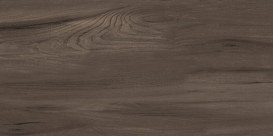 Керамогранит Artkera Group GP36GOA21 Goa Marron матовый 300x600x8