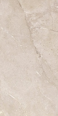 Керамогранит Dado Ceramica DNWS201 New Stone Daino 60x120