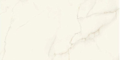 Керамогранит Atlas Concorde Italy AFU2 Marvel Calacatta Apuano Lappato 120x240