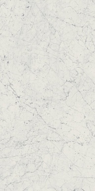 Керамогранит Italon 610010001194 Charme Extra Carrara Nat Ret 60x120